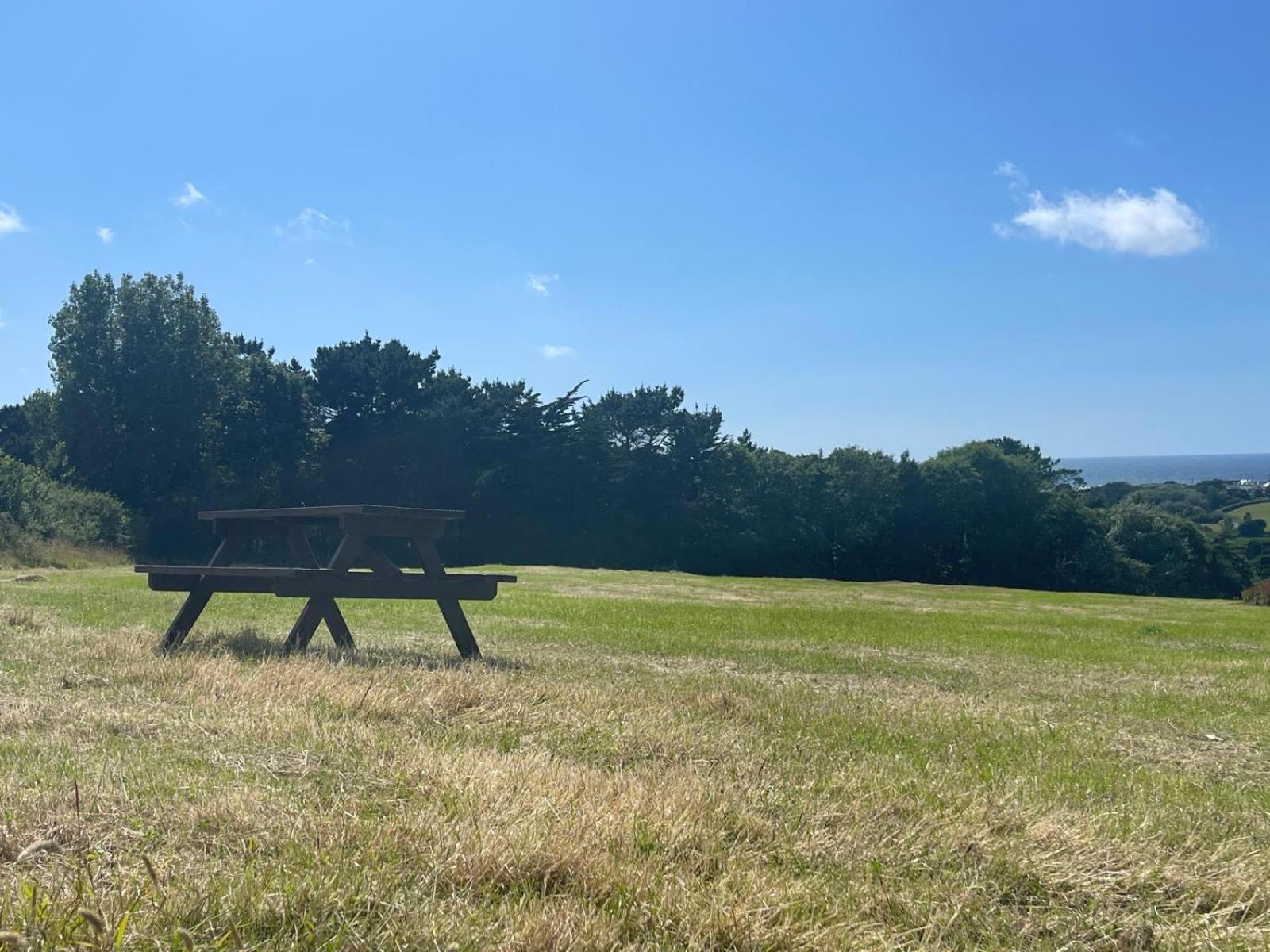 Stunning 6 Bedroom Cottage Near Cornish Coast Bude Eksteriør billede